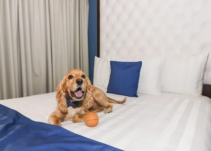 Hotel Medano And 4*